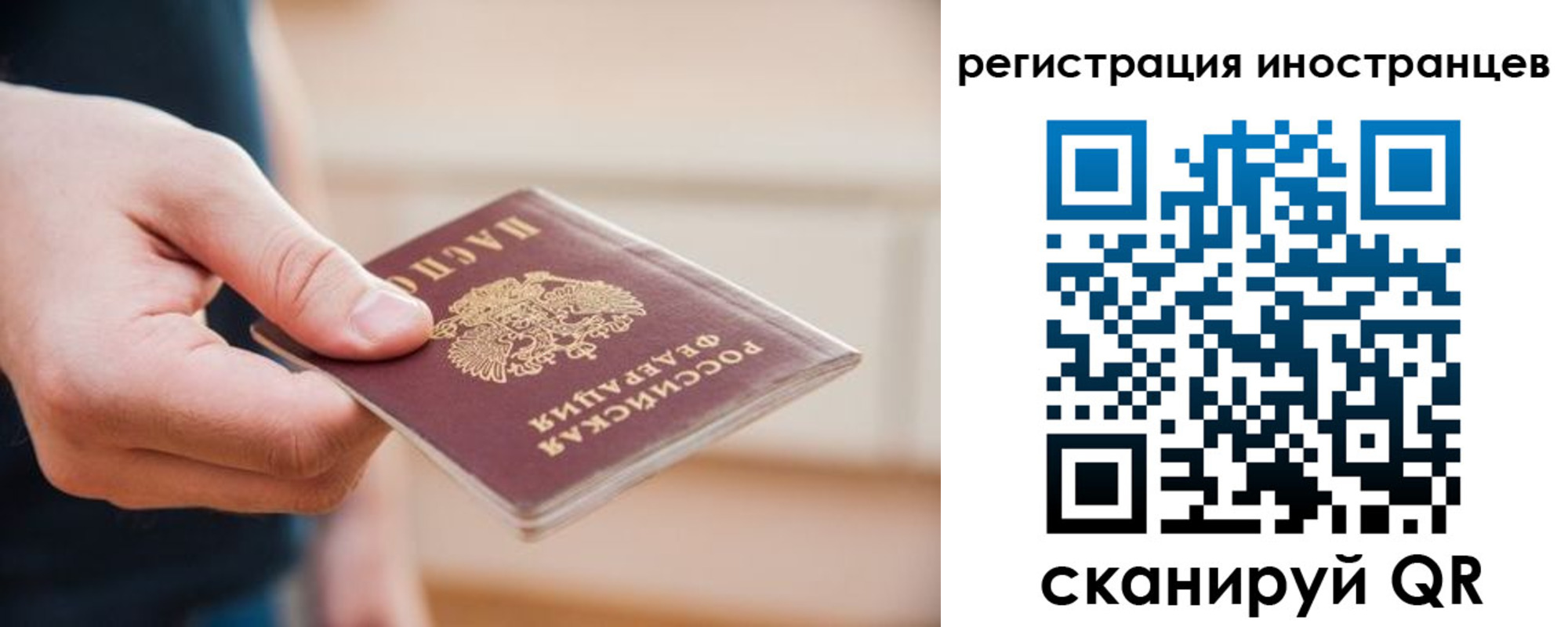 прописка гарантия в Клинцах